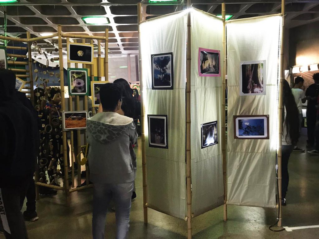 Público examina murais feitos de bambu com fotografias coladas. Fim da descrição.